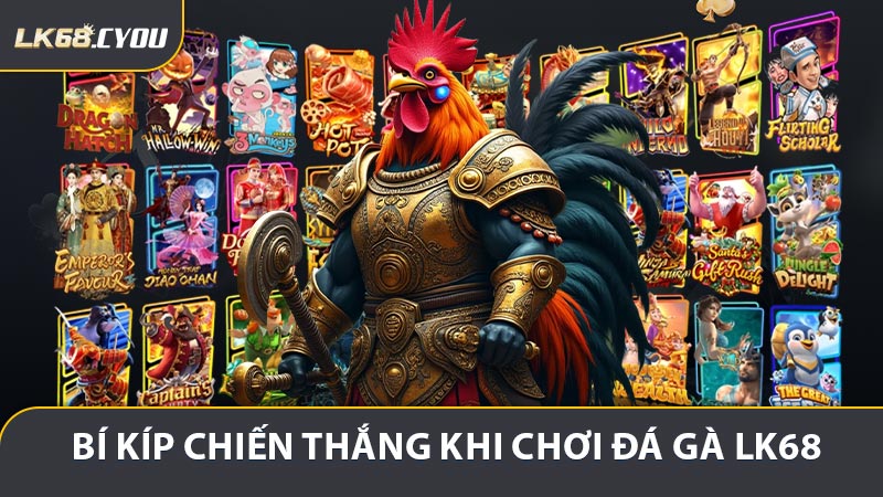 Bí kíp chiến thắng khi chơi đá gà LK68 cho kê thủ